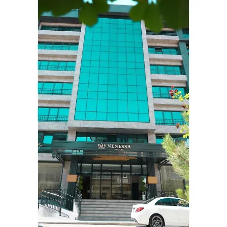 酒店 Nenessahotel