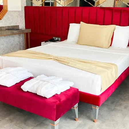 호텔 Nenessahotel 악사라이