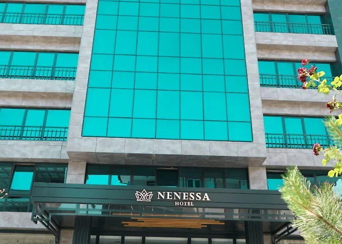 Nenessahotel 4*