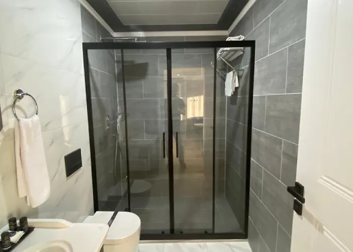 Nenessahotel Отель 4*